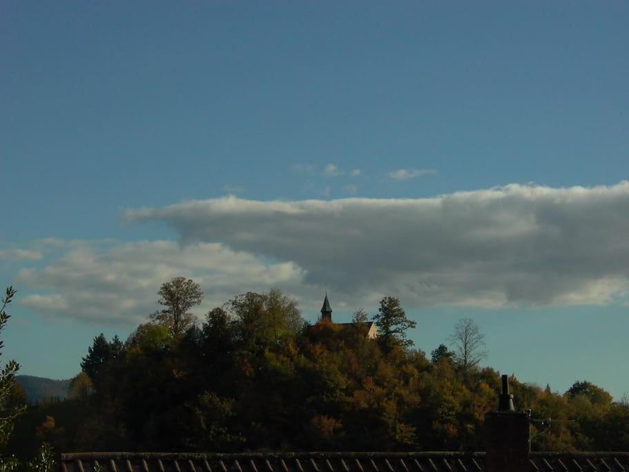 Apartment Bergleblick Gengenbach